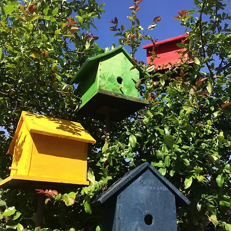 Holiday home La Voie Romaine
