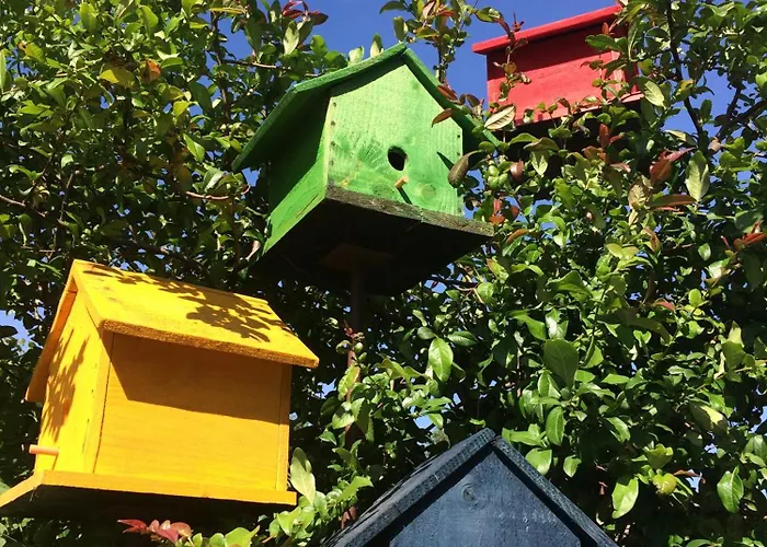 Dom wakacyjny La Voie Romaine